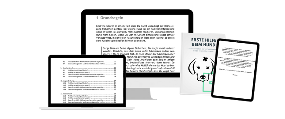 Handbuch: Erste Hilfe beim Hund