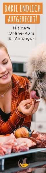 Online-Kurs zum Thema B.A.R.F