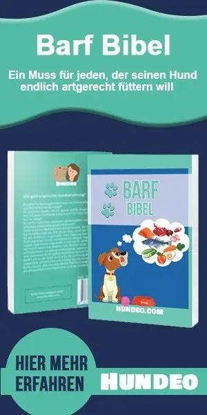 Buch zum Thema Barf für Hunde