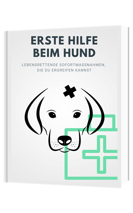 Handbuch: Erste Hilfe beim Hund