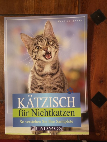 Kätzisch für Nichtkatzen