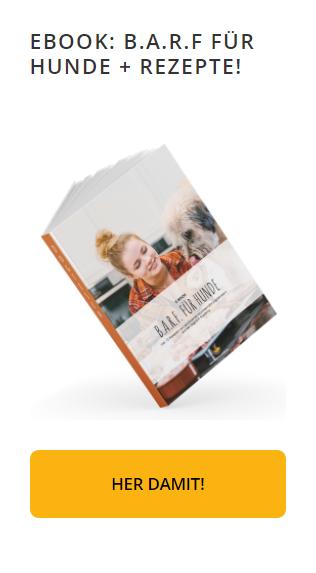 Kostenloses eBook zum Thema B.A.R.F.