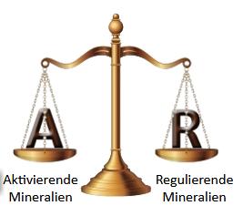 Aktivierende und regulierende Mineralien werden in der richtigen Menge benötigt.
