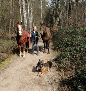 Britta Twellenkamp mit Falko (Schäferhund) Equinox Dibana und Equinox Jonny McCormick.