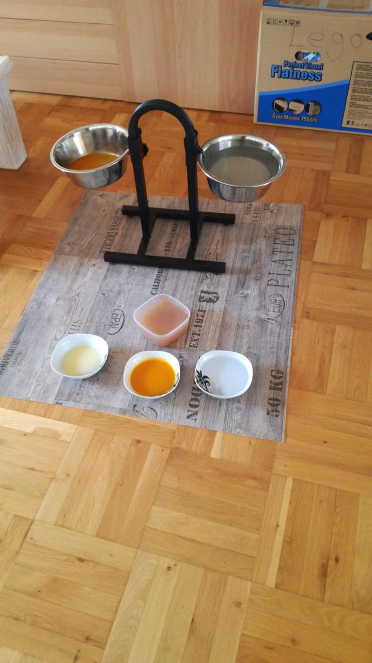 Schonkost für den Hund, während dem Durchfall